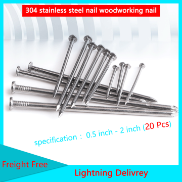 304 Stainless Steel Nail Steel Nail Carpenter Round Nail Cement Wall Nail Lengthened Small Nail 20Pcs