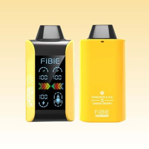 Fibie Dual Flavours 15000 Puff Disposable Vape Price
