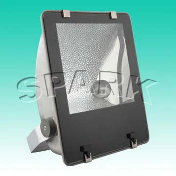 IP65 Stainless-steel  Floodlight