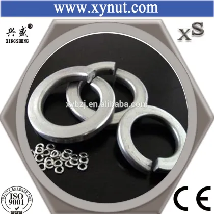 China factory hardware spring washer