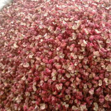 sichuan pepper red tea