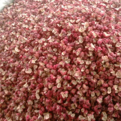 sichuan pepper red tea
