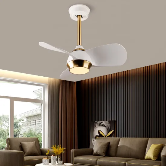 SLYNN European Modern Decorative Ceiling Fan with Light