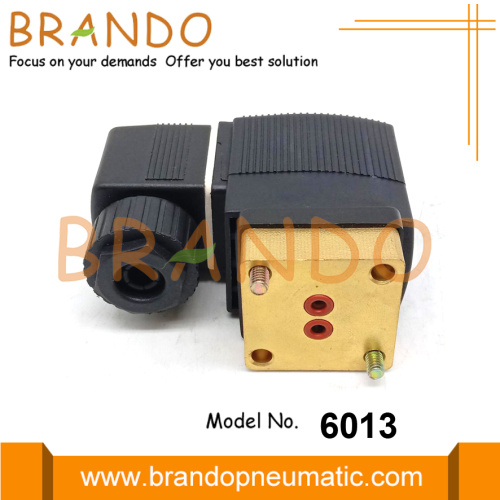 6013 A FLNSCH Alt-Baz Burkert Tip Solenoid Valf