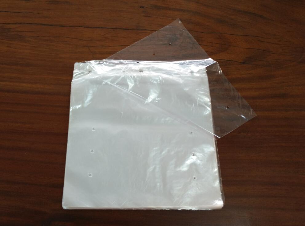 Plastic Bag for Food Grade