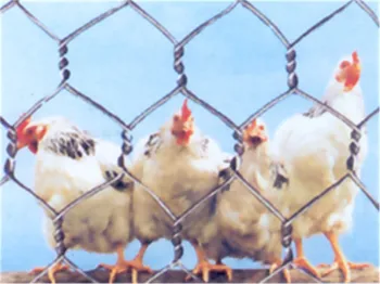 Hexagonal Wire Netting