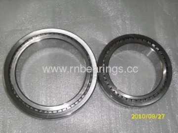 Sl04-5006 Pp Cylindrical Roller Bearings 