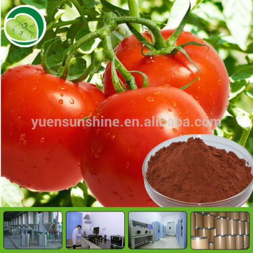 Lycopene 20 Lycopene Extraction From Tomato, High Quality Lycopene 20