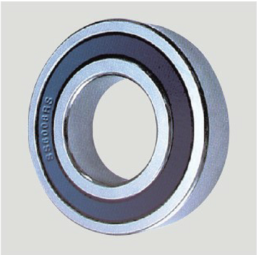 Deep Groove Ball Bearings-SS6005