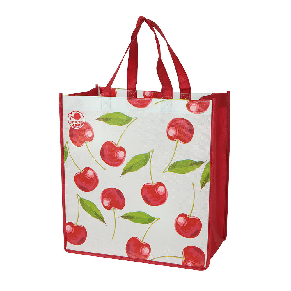 New Item Non Woven Shopping Bag