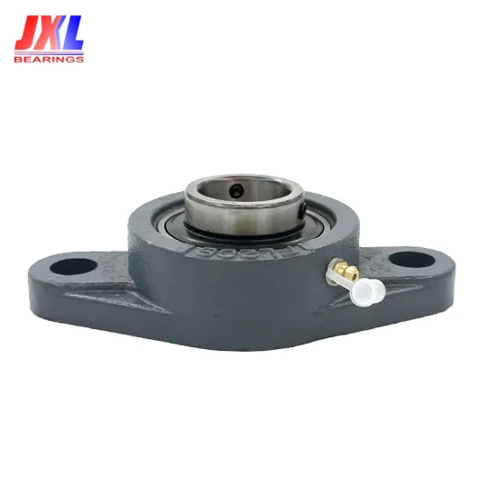 Chinese Factory-Sourced JXL UCFL216H Pillow Block Bearings with Eccentric Locking and 2-Bolt Flange Units for Packaging Machinery