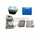 New design customized plastic cooler container mould maker