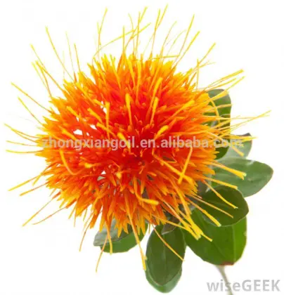 100% Natural Bulk Herbal Safflower Oil