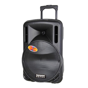 Powerful Battery Operated Trolley Speakers with 12 Inch Subwoofer for Outdoor DJ Use