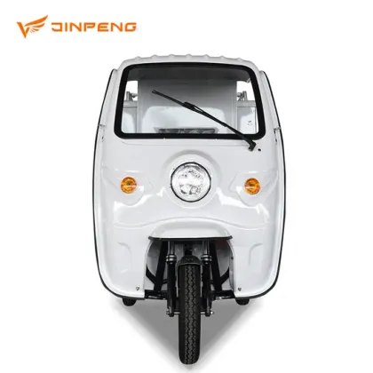 Jinpeng Closed Express Cargo Transportation Electric Tricycles