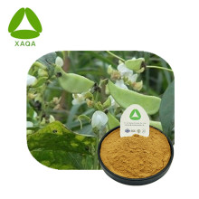 White Hyacinth Bean Extract White Lentil Powder