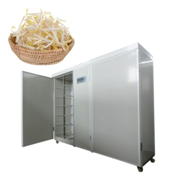 Rapid Production Bean Sprouts Machine in Weifang, Shandong