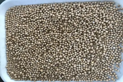 CCS1 mini chickpeas color sorter/chickpeas separating machine