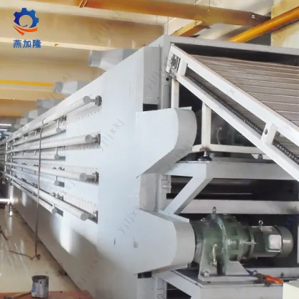 Fresh White Button Mushroom Dryer