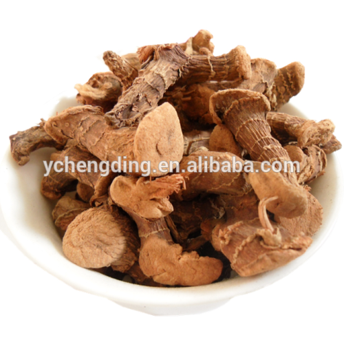 Wholesale products Galangal root best selling products in america 2015
