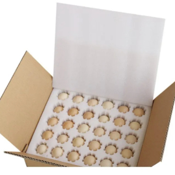 High Quality EPE Foam for Quail Egg Packing Boxes & Protection Inserts