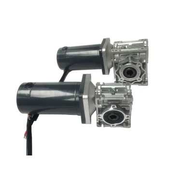 100Nm RV Worm Geared Double Shaft 24V DC Motor 550W with Encoder - In Stock