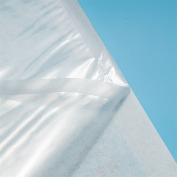 Tyvek HDPE Material Clean Steam Sterilization Bag Title