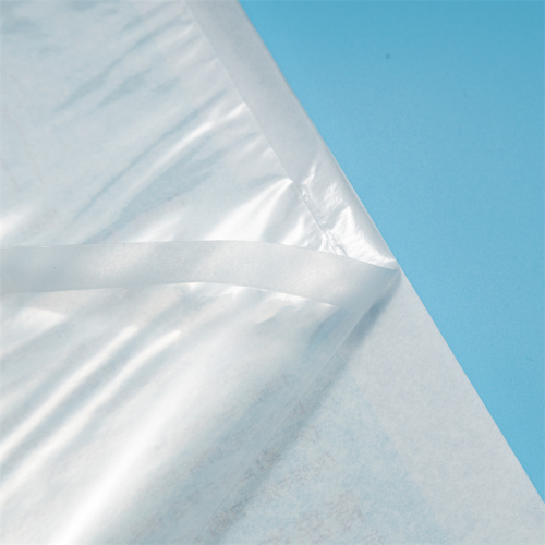Title: Sterilization Packing Bag Material - Tyvek 1073B Properties and Applications
