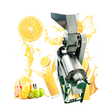 Small Scale 0.5t/h Mulberry Ananas Grapefruit Pineapple Avocado Dragon Fruit Juicer Machine