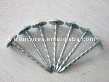 Roofing nails diretcy factory
