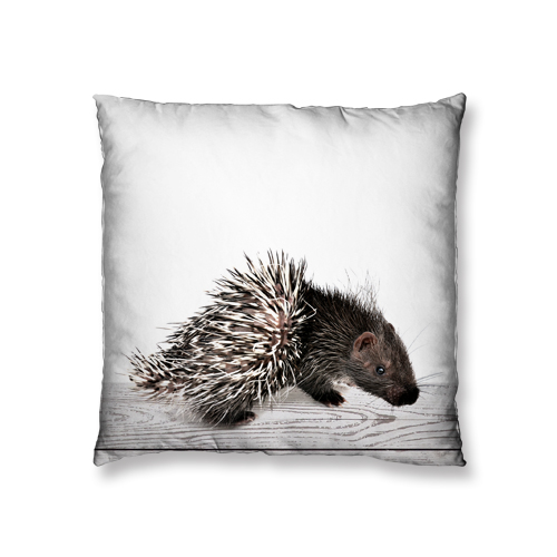 baby raccoon design cushion