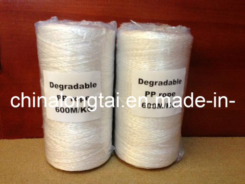 1-6mm White PP Packing Rope/Banana Twine (SGS)