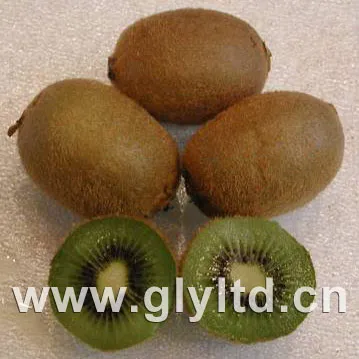 Fresh Kiwi Fruit