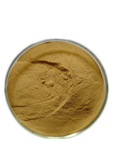 Flos Magnoliae Powder