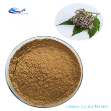 Lycopus Lucidus Extract Powder and benefits