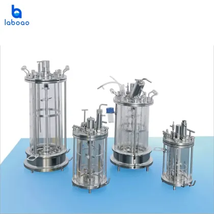 Semi-automatic Bioreactor Price - Customized Fermenter Mini Bioreactor for Laboratory