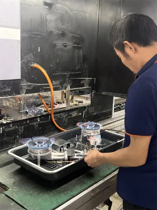 Kitchen Gas Stove Glass Panel Household Dual Stove IPG Gas Stove