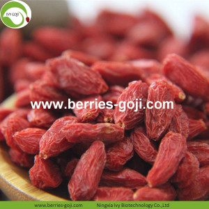 Box Package Natural Nutrition Variety Common Goji Berry