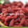 Paquete de caja Variedad de nutrición natural Común Goji Berry