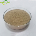 Microbial Rennet for cheese kluyveramises chymosin Rennet