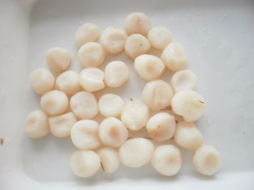 2016 New Arriving Baby Canned Corn with good price