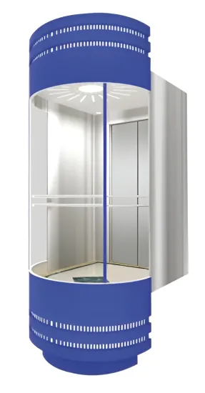 Mrl Mirror Etching Passenger Lifts Capsule Elevator