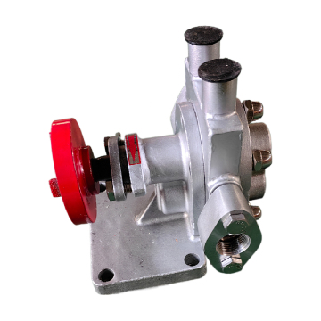 Micro Stainless Steel Insulated Gear Pump for Heating Food