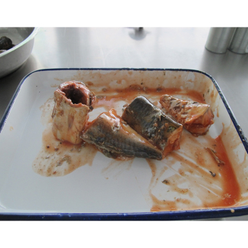 425g Cheap Factory Price Frozen Canned Mackerel Tomato Sauce