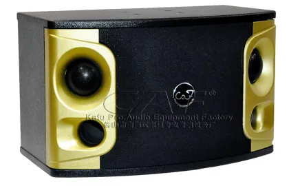 Professional Karaoke Speakers