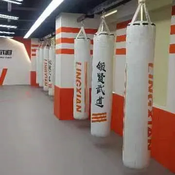 Professional Heavy Bag Boxing