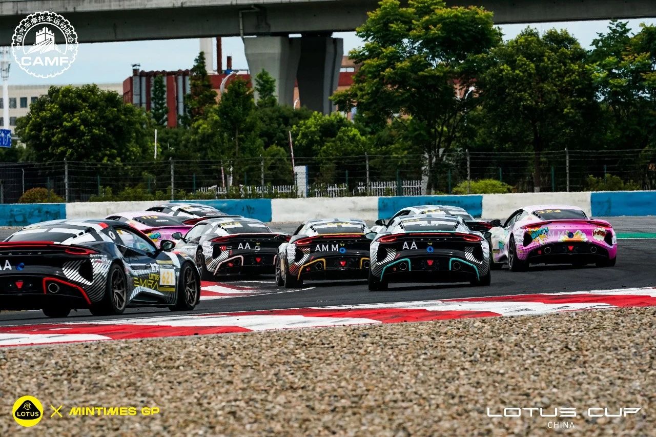 LOTUS Cupb6