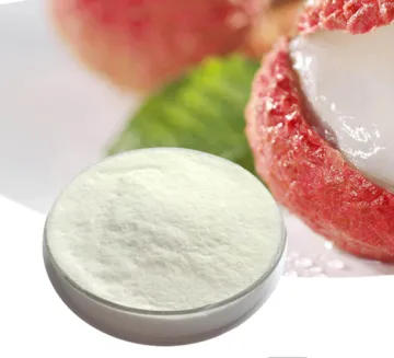 YXchuang Water Solubility Chicory Root and Jerusalem