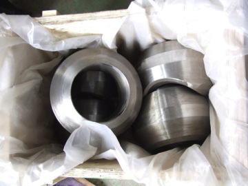 Geschmiedeter Auslass Weldolet SS304/316 Duplex