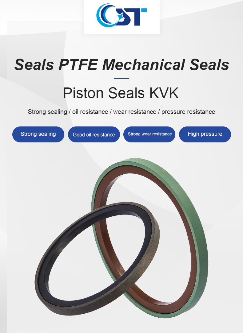 Spg Piston Seal 1